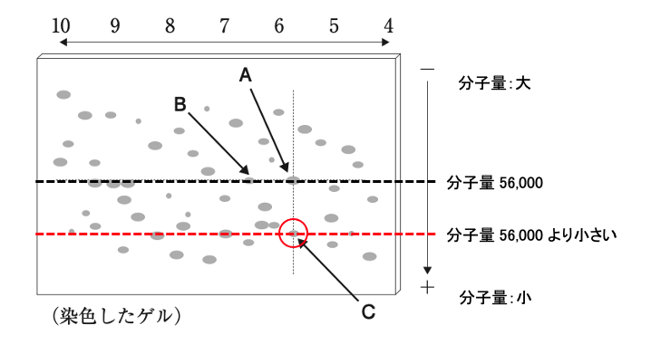 解説画像